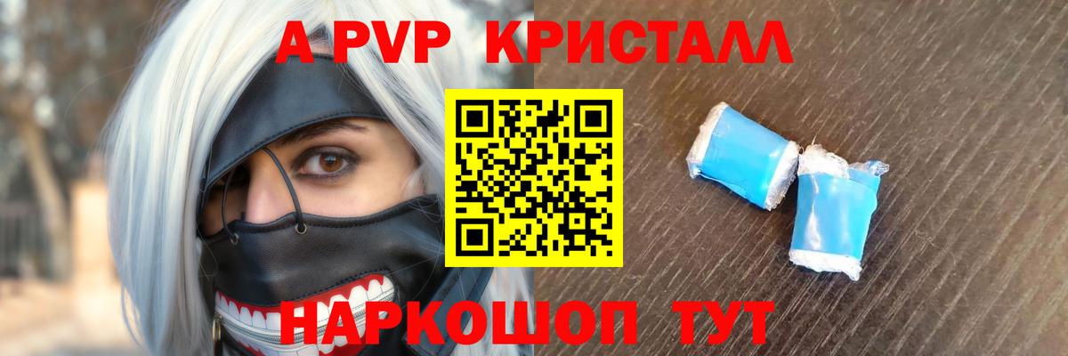 A PVP СК Зеленогорск