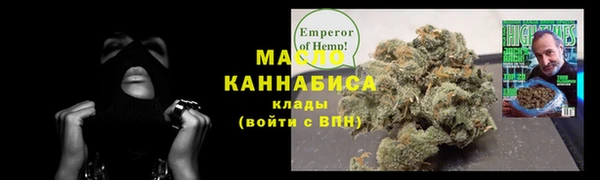 индика Горно-Алтайск