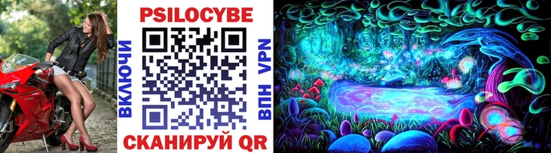 Галлюциногенные грибы Cubensis Зеленогорск
