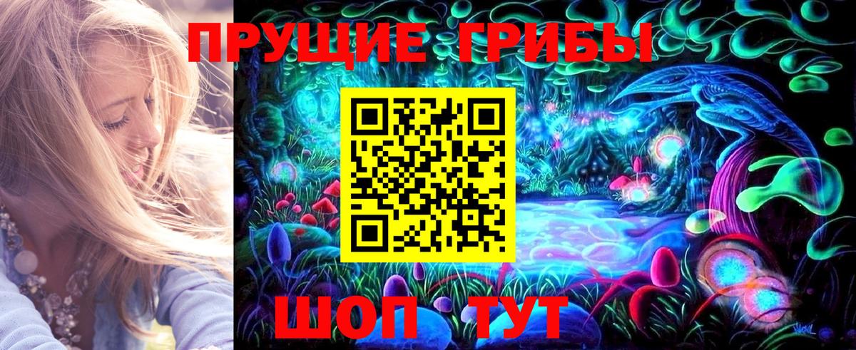 Псилоцибиновые грибы мицелий  Вход с VPN  Зеленогорск 