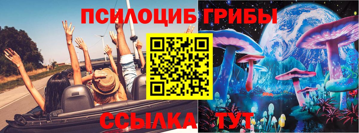 купить наркоту  Зеленогорск  Галлюциногенные грибы прущие грибы  Псилоцибиновые грибы ЛСД 